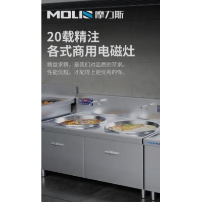 摩力斯MLS-A商用電磁灶雙頭灶臺(tái)15KW/40CM（帶兩口直徑50CM炒鍋）